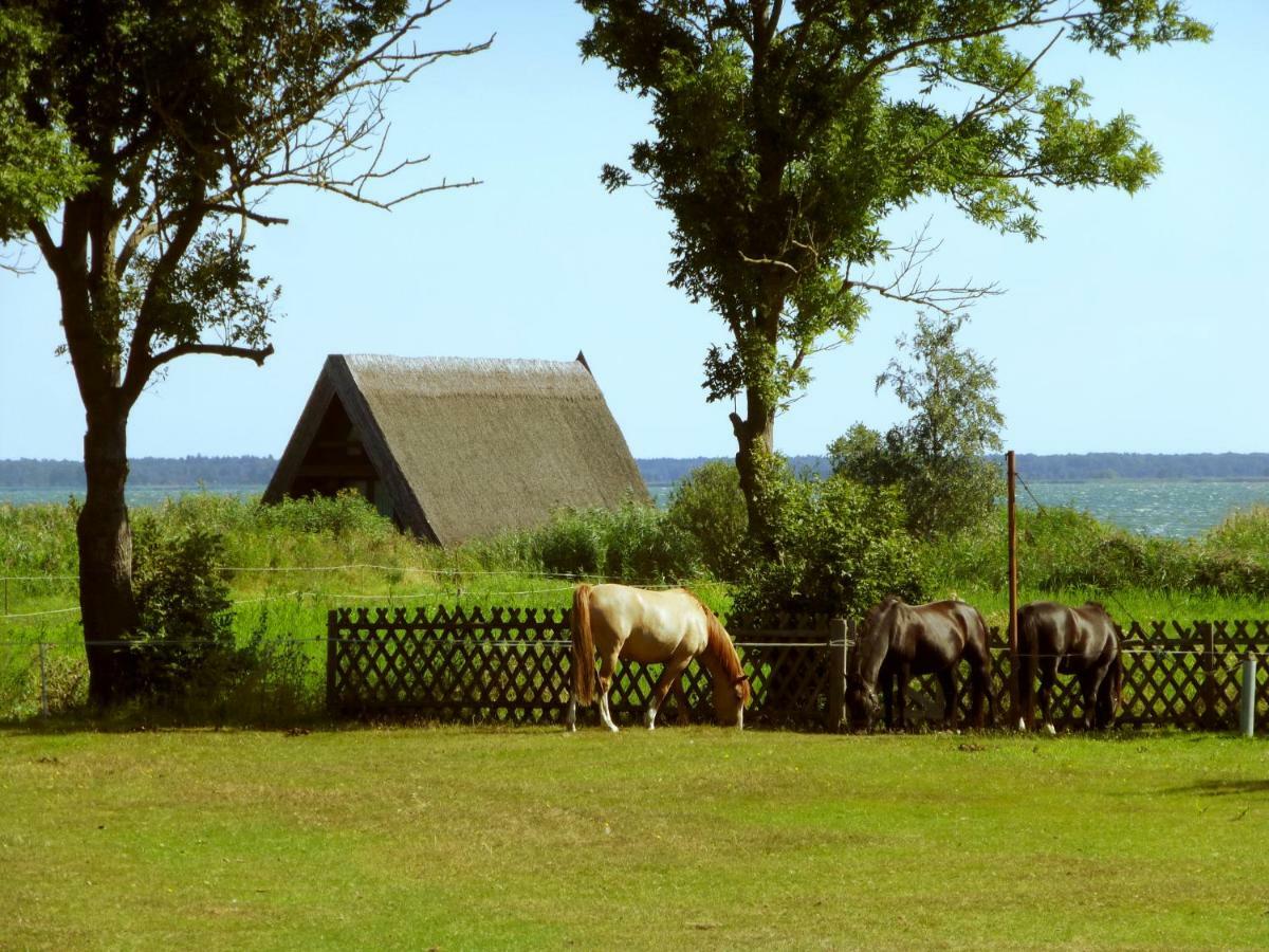 Steinbock-Ferienwohnungen Kölpinsee Exterior foto