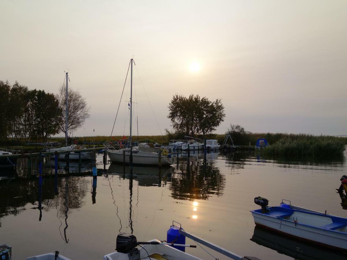 Steinbock-Ferienwohnungen Kölpinsee Exterior foto